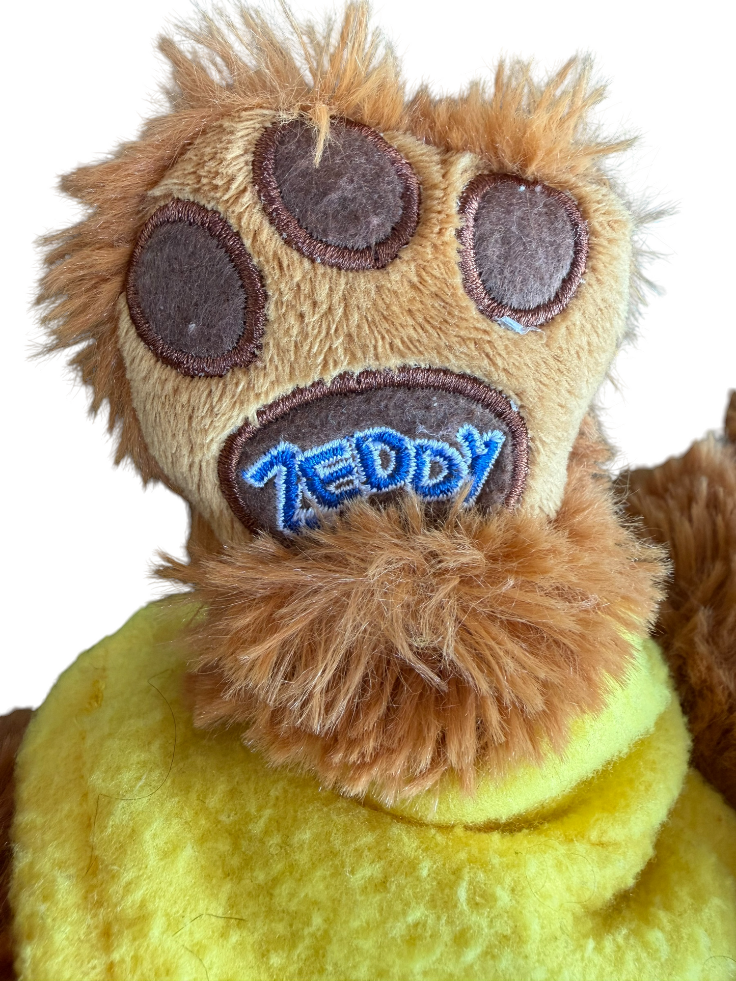 Zeddy Bear Zellers Mascot Retired Stuffed Animal Toy