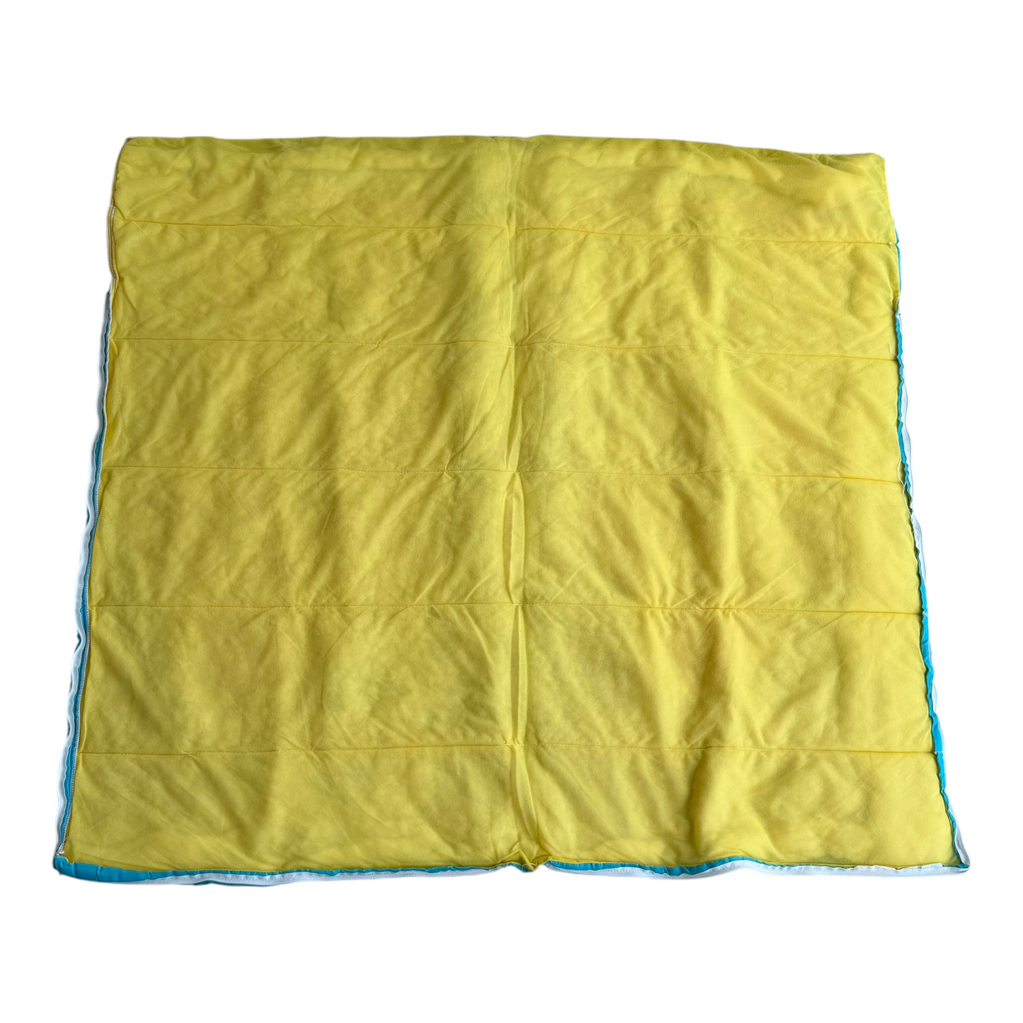VTG 1995 Disney Pocahontas Sunflower Flit Kids Sleeping Bag