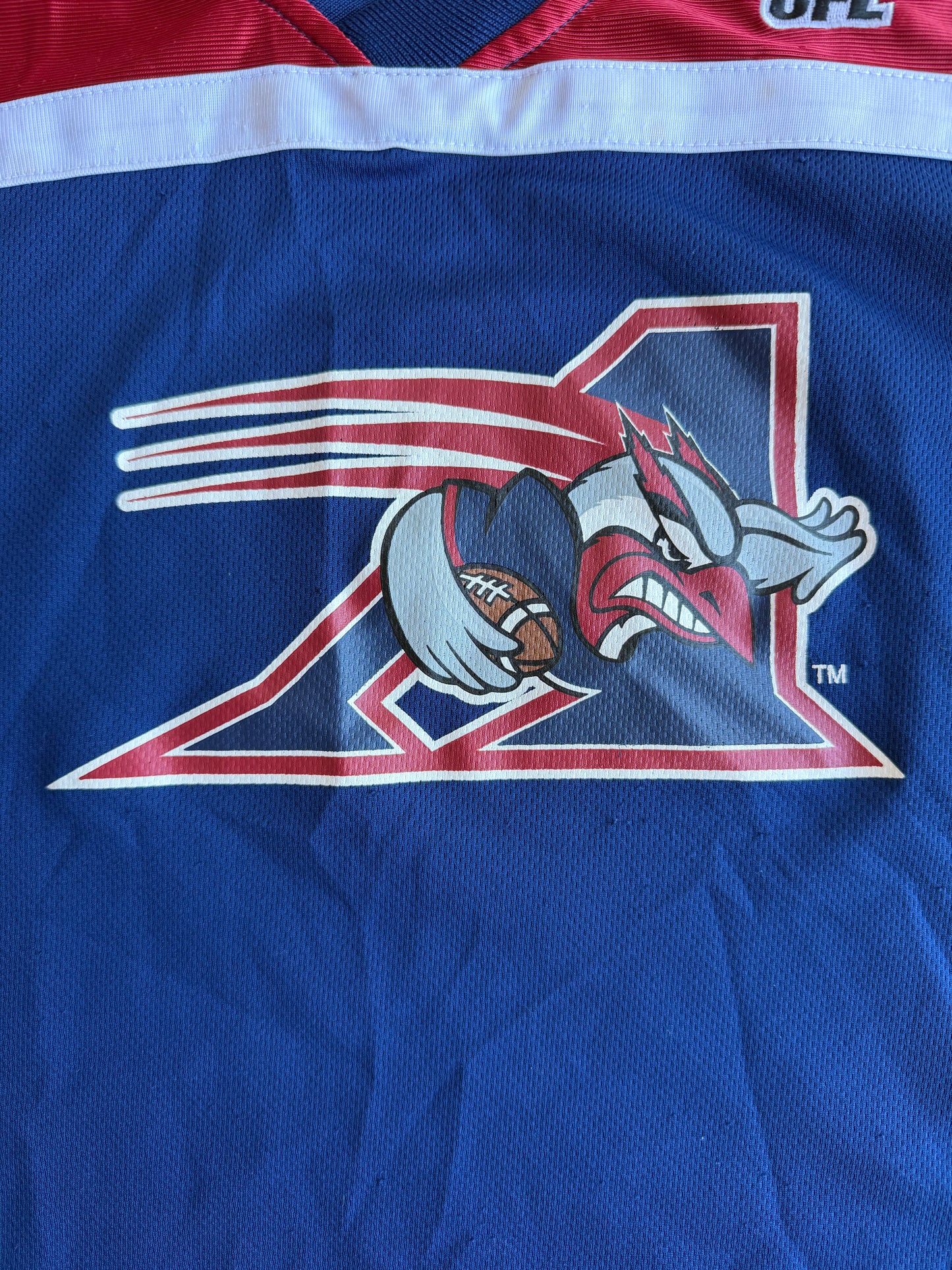 VTG Montreal Alouettes CFL Football Mighty Mac Jersey Shirt Youth Size: M (10-12)
