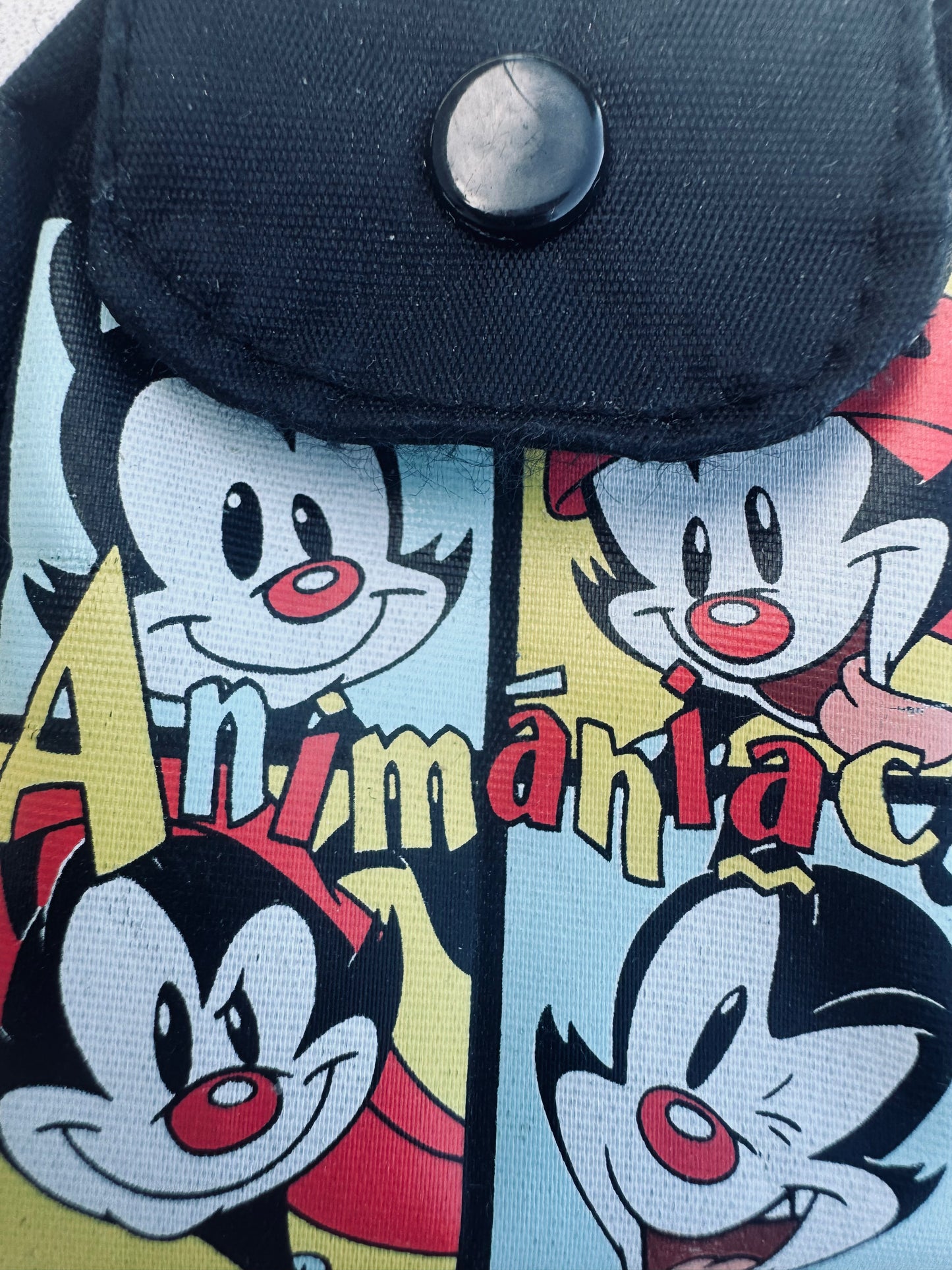 Animaniacs 1997 Kids Coin Hook & Loop Closure Strap Purse