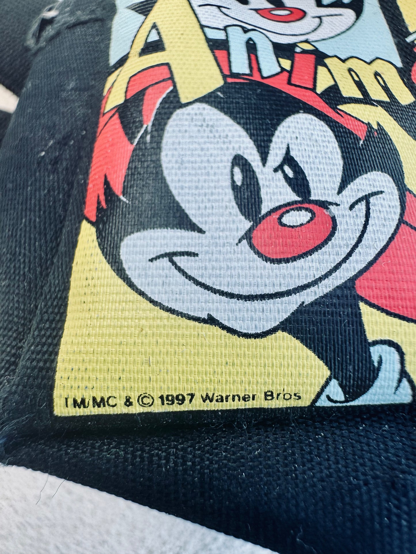 Animaniacs 1997 Kids Coin Hook & Loop Closure Strap Purse