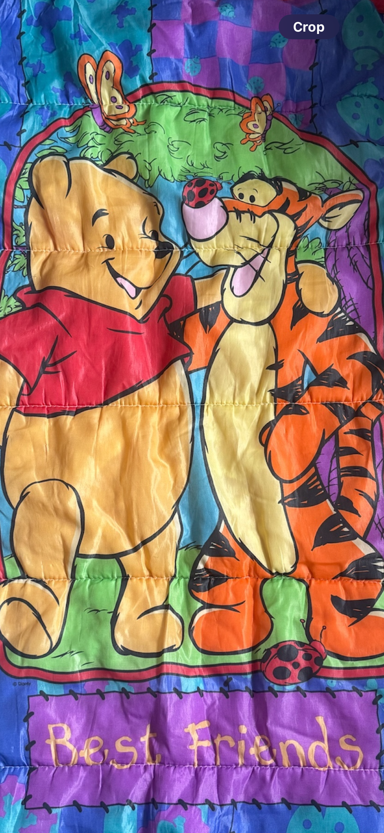 VTG '90s Disney Winnie the Pooh Tigger Best Friends Sleeping Bag