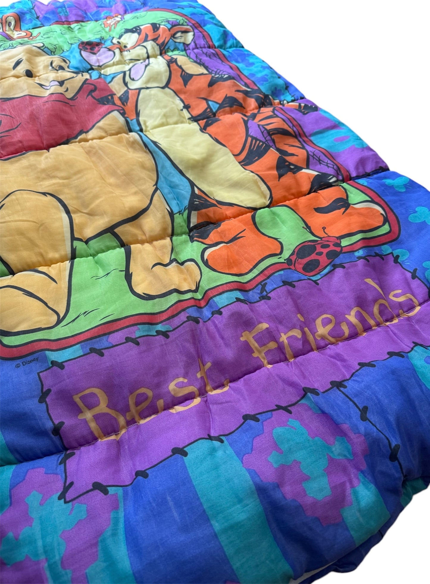 VTG '90s Disney Winnie the Pooh Tigger Best Friends Sleeping Bag