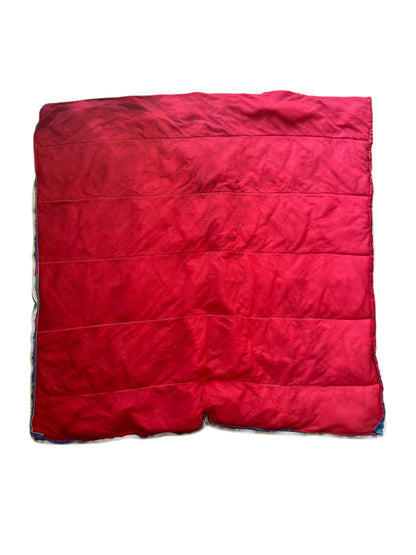 VTG '90s Disney Winnie the Pooh Tigger Best Friends Sleeping Bag