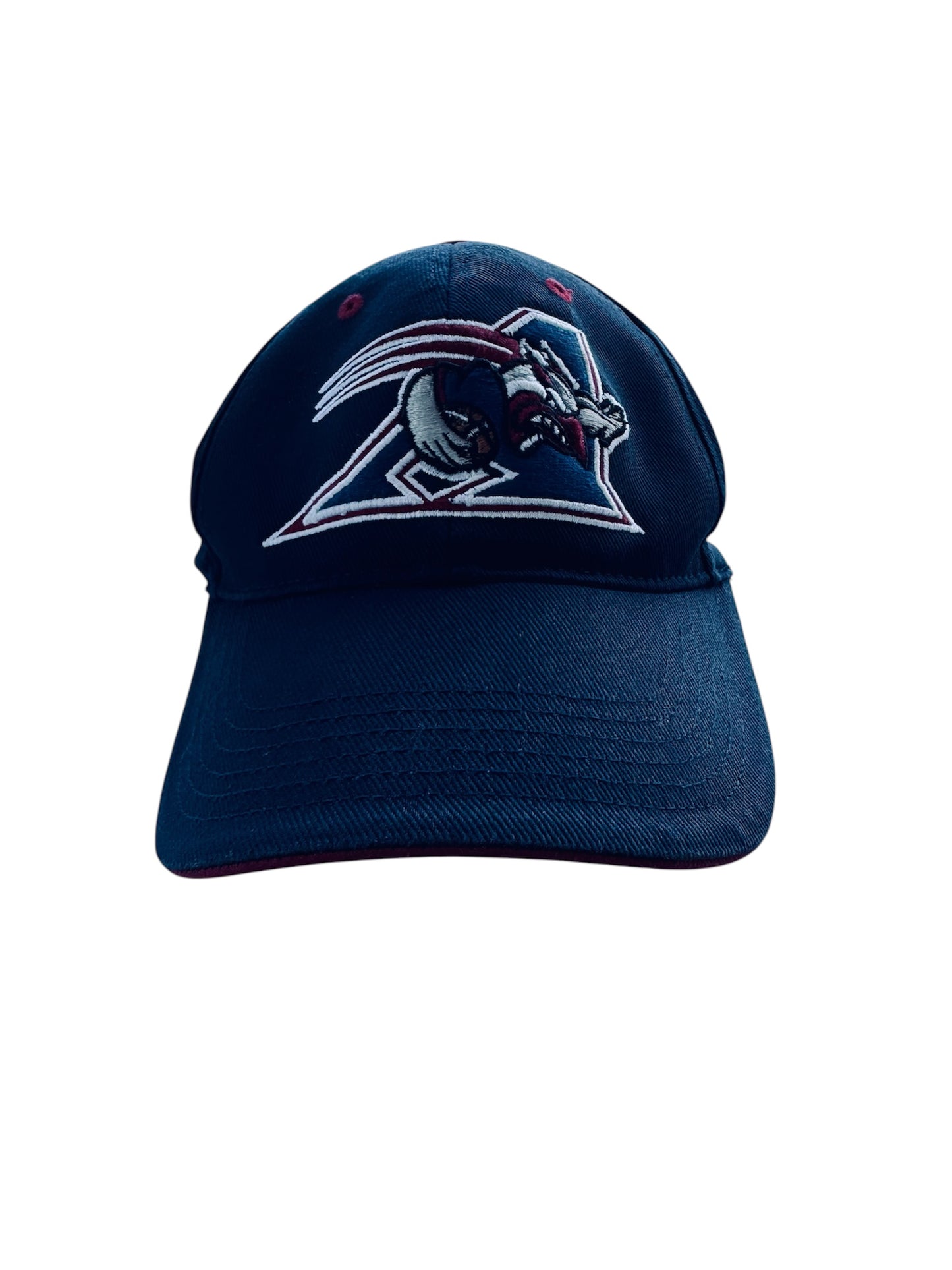VTG Montreal Alouettes Fan Favourite CFL Adjustable Hat Cap