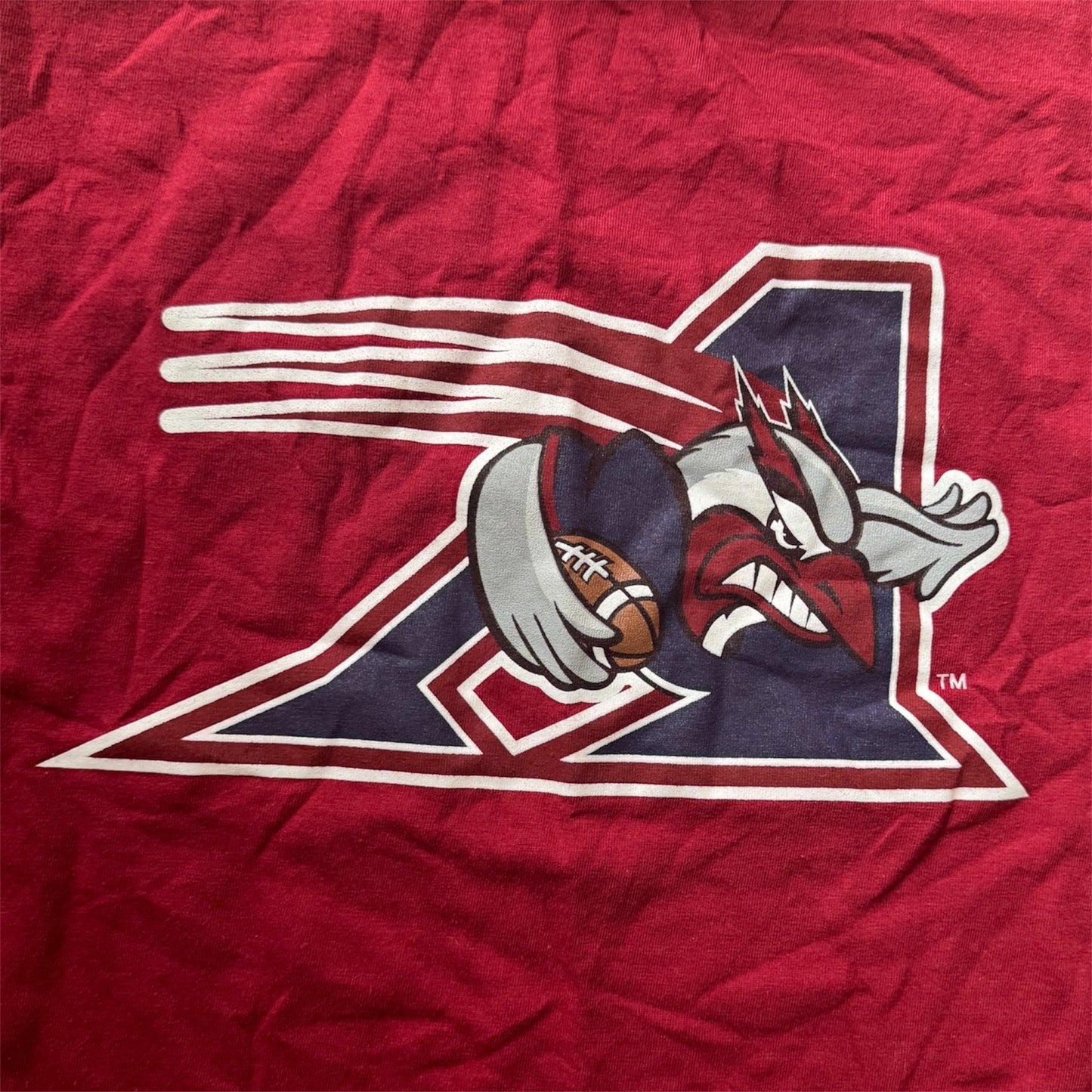 Y2K Montreal Alouettes CFL Canada Sogo T-Shirt Size: M