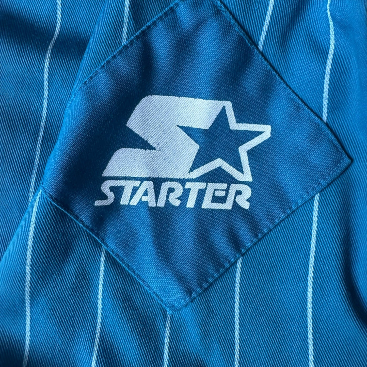 VTG ‘90s Charlotte Hornets Starter NBA Pinstripe Baseball Jersey Size: L